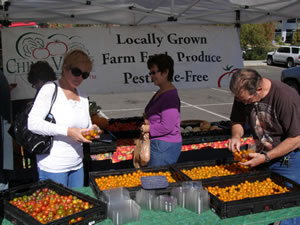 Farmers Markets Food Shopping