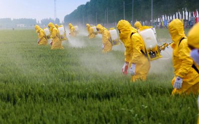 What’s the Big Deal with Pesticides?