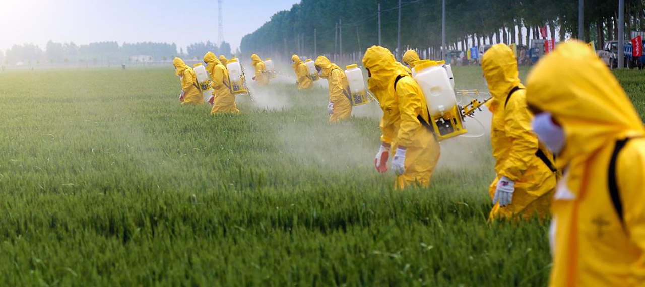 What's the Big Deal with Pesticides?