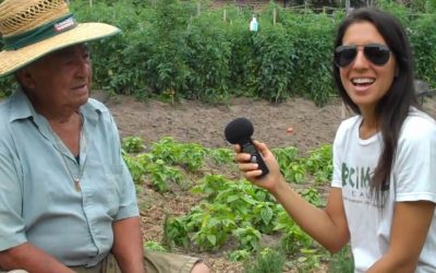 Cheap Organic Fruits and Vegetables Grown in The City