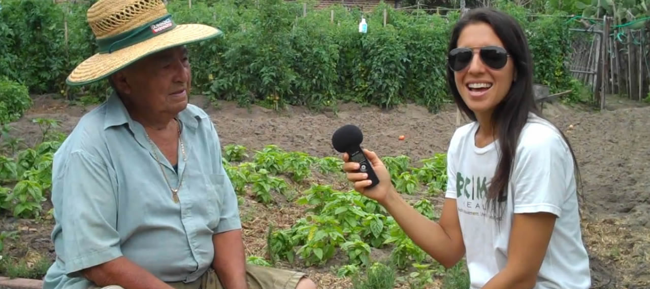 Cheap Organic Fruits and Vegetables Grown in The City