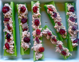 Tuna and cranberries ants on a log