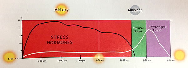 High cortisol levels disrupts the natural sleep cycle