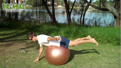 Prone Swiss Ball Balance Alternating Arms and Legs