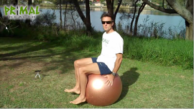 Seated Swiss Ball Balance With Calf and Hand Holds