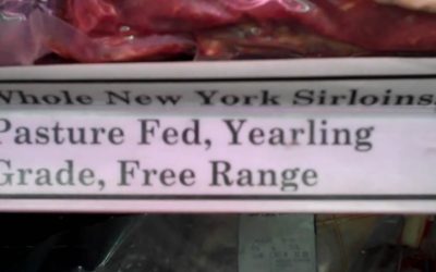 Meat Part 3 – What is Free Range, Grass Fed, Organic Meat?