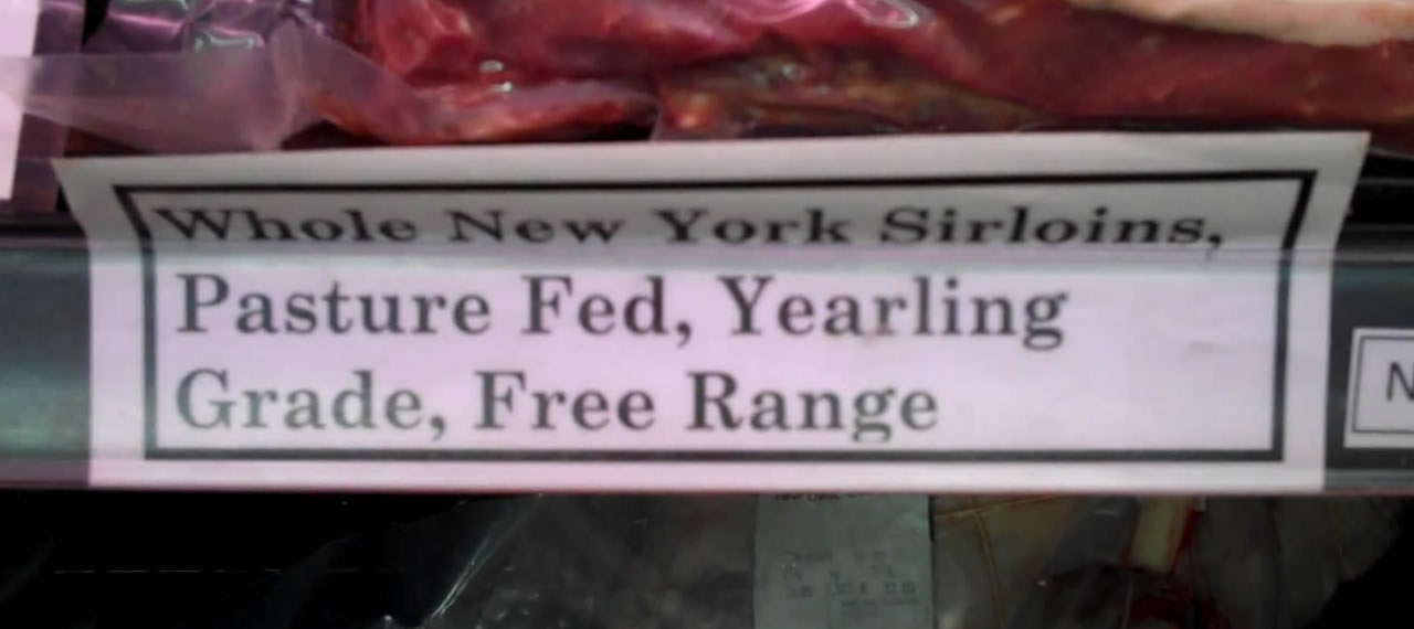 Meat Part 3 - What is Free Range, Grass Fed, Organic Meat?