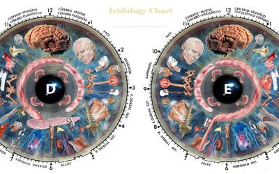 A Look Into Iridology: Are Your Eyes a Window to Your Health?