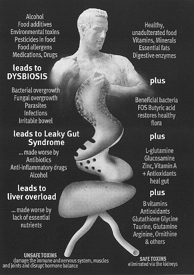 Leaky Gut Causes and Cures