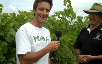Is Biodynamic Organic Wine Healthier? – Part 2