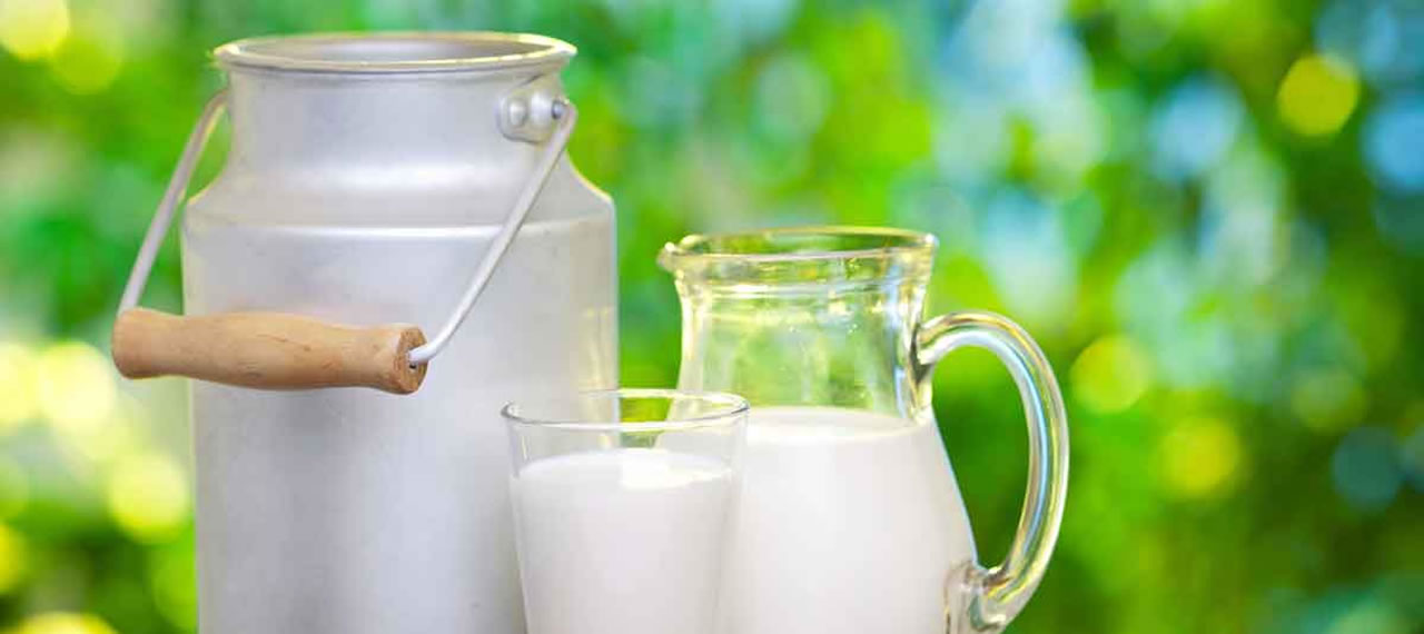 How Milk Became So Dangerous